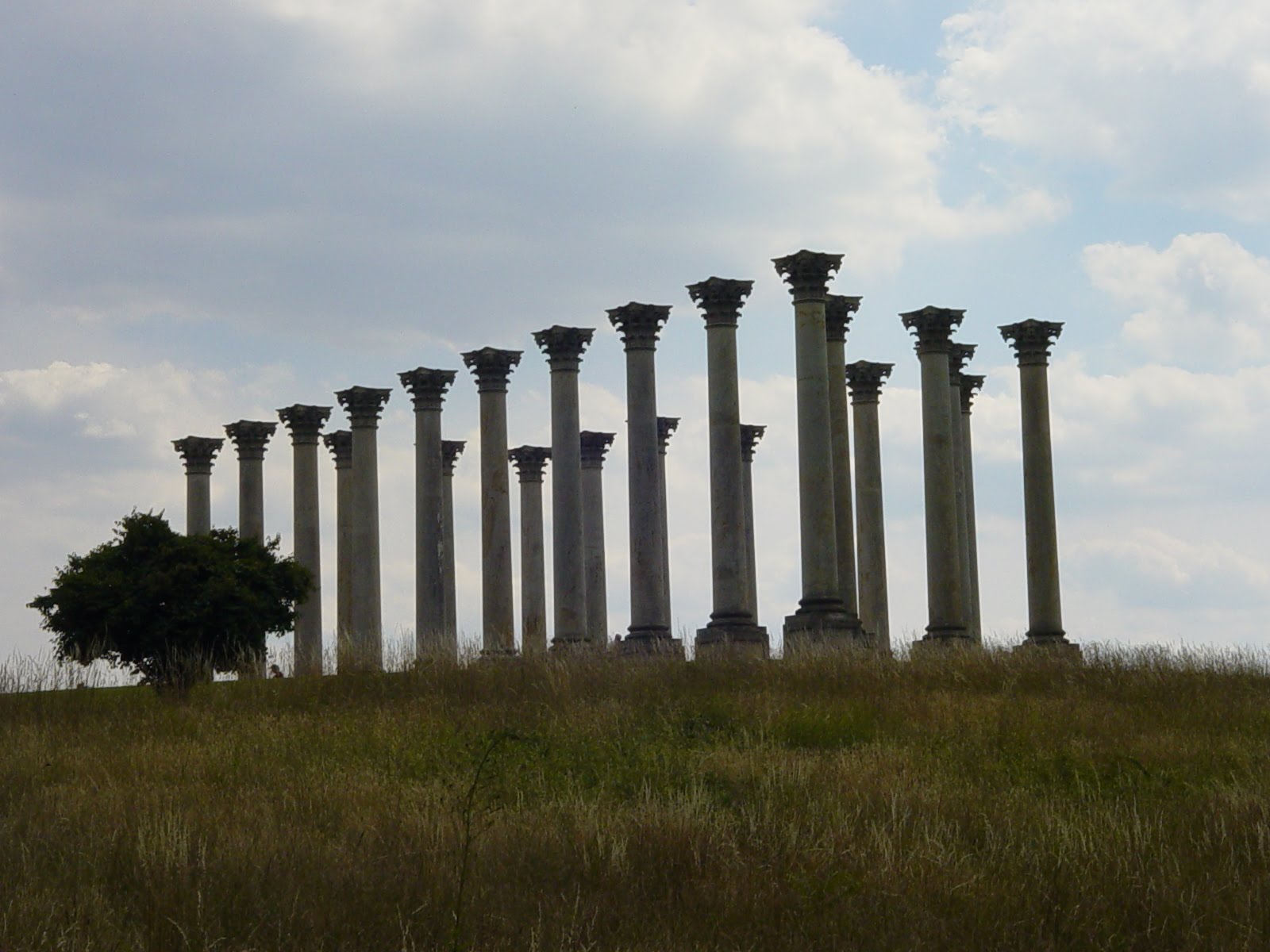 Twenty-two corinthian columns arranged in a rectangle in a field, supporting nothing.