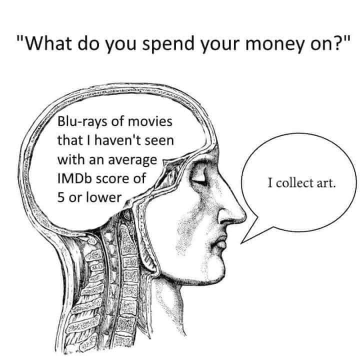  what do you spend your money on? Text in the brain-case, representing thoughts, says: Blu-rays of movies that I haven't seen with an average IMDb score of 5 or lower. Text in a word bubble, representing speech, says: I collect art.